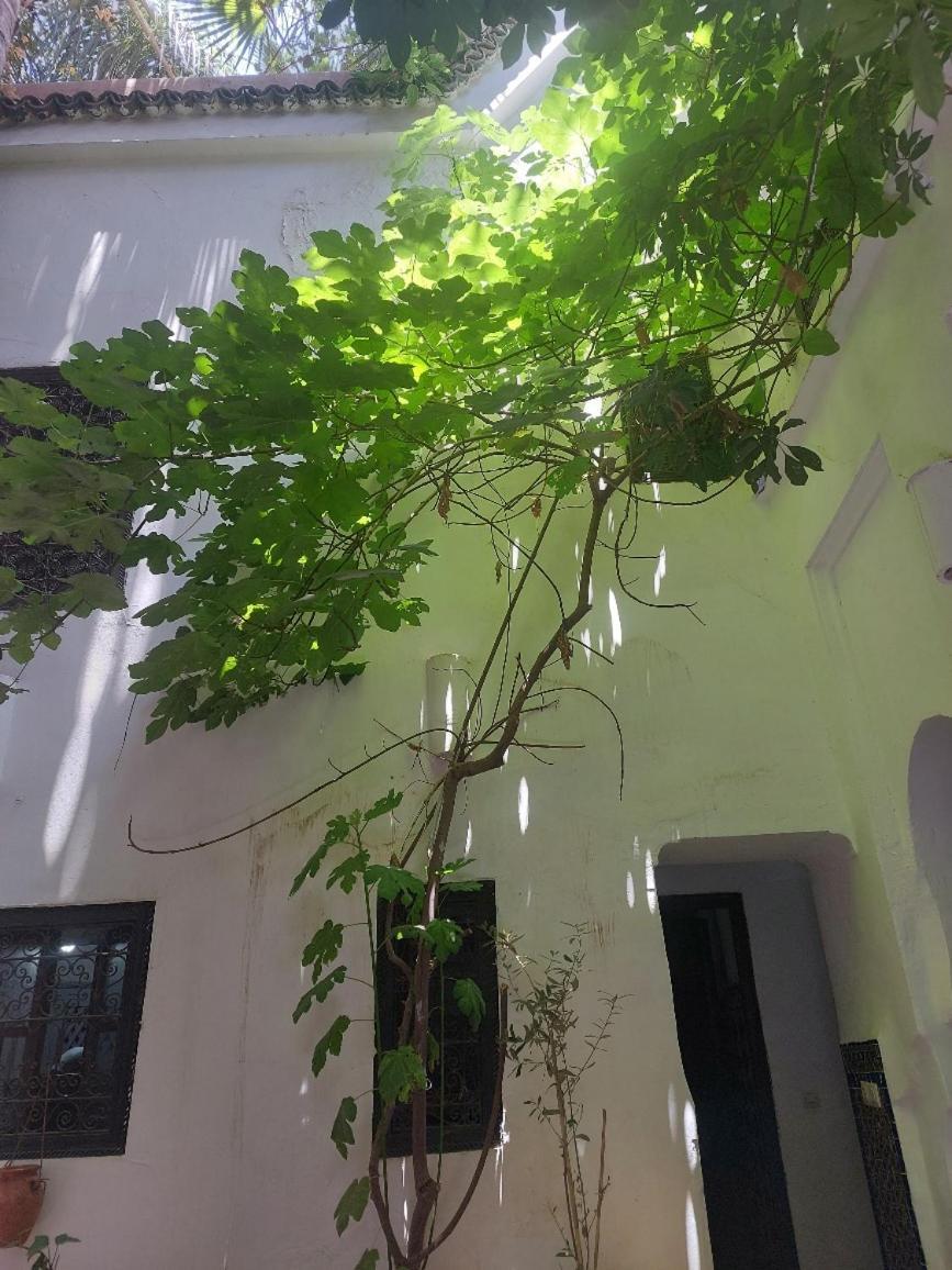 Riad Dar Lalla Fatna 马拉喀什 外观 照片